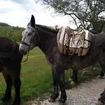 Montesalce * Gubbio