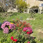Montesalce Farma