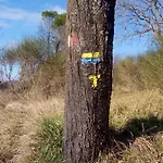 ファームステイ Montesalce グッビオ