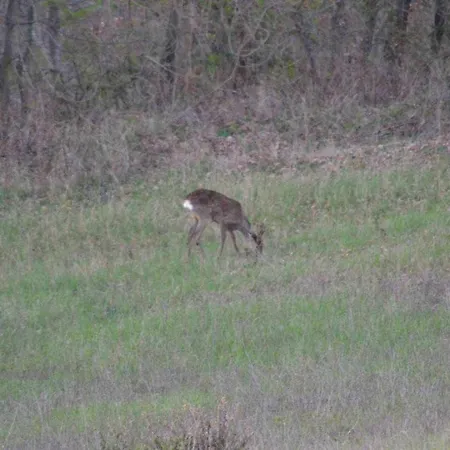 Montesalce Agroturismo *