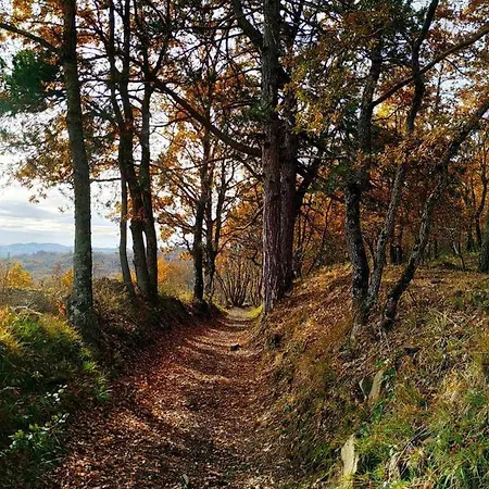 Montesalce Agroturismo Gubbio