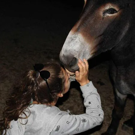 Agroturismo Montesalce *