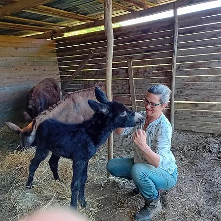 Montesalce Agroturismo *