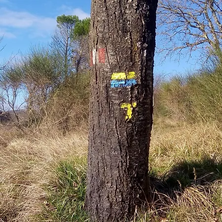 Agroturismo Montesalce Gubbio