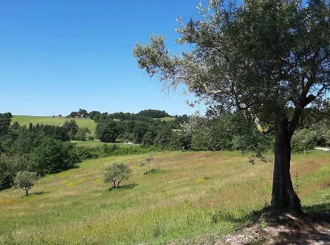 Montesalce Gospodarstwo agroturystyczne Gubbio