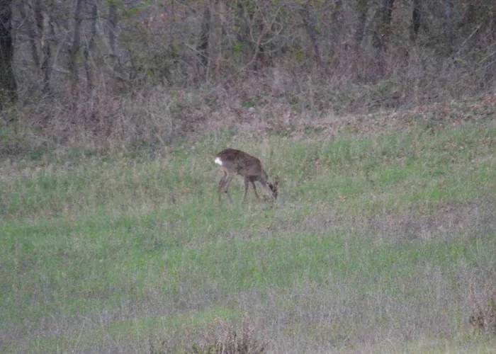Montesalce Gospodarstwo agroturystyczne *