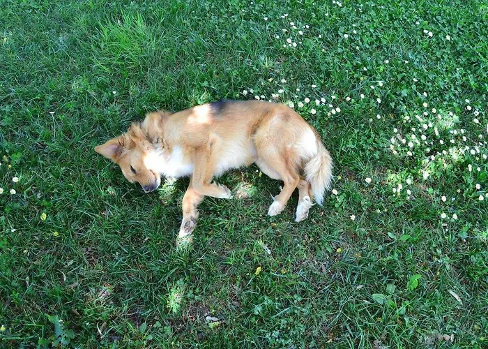 Gospodarstwo agroturystyczne Montesalce